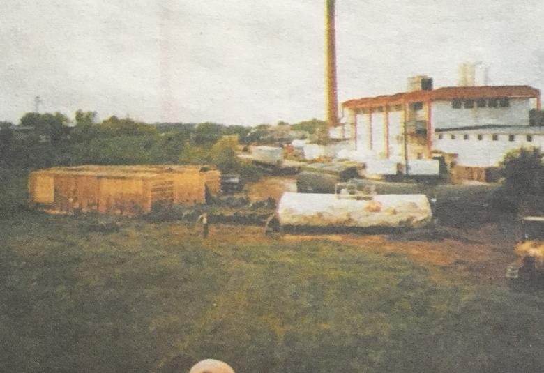 The Denmark News - Staff Photo - Create Article